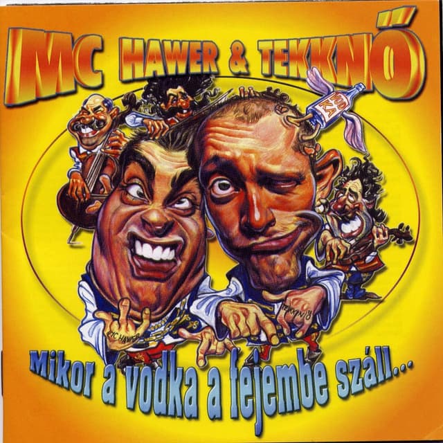 Album cover art for Mikor a vodka a fejembe száll...