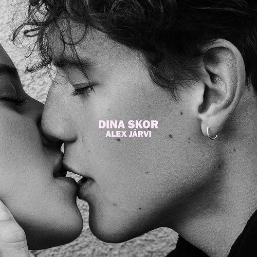 Album cover art for Dina skor