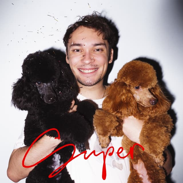 Album cover art for SUPERNORMAL, Vol. 1