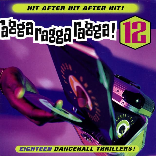 Album cover art for Ragga Ragga Ragga 12