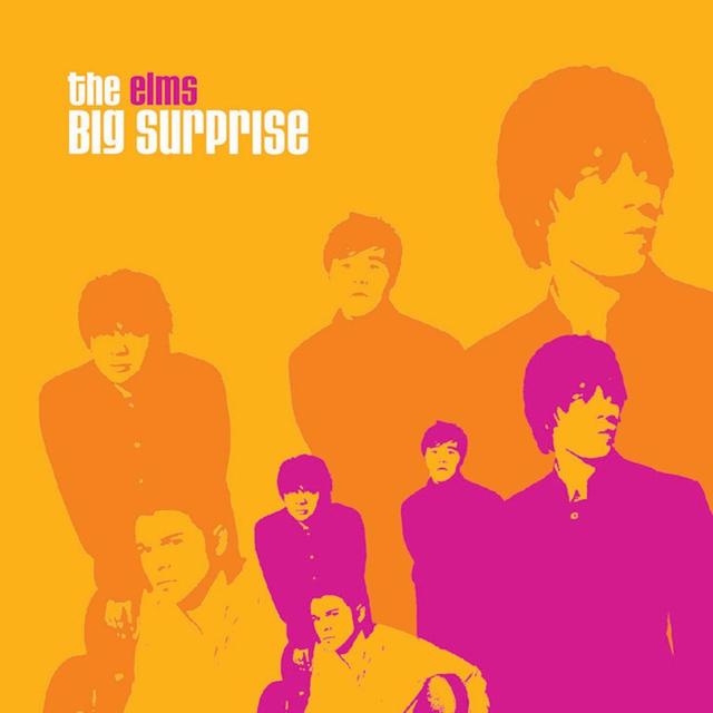 Album cover art for Big Surprise