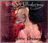 Album cover art for Palm Fabric Orchestra