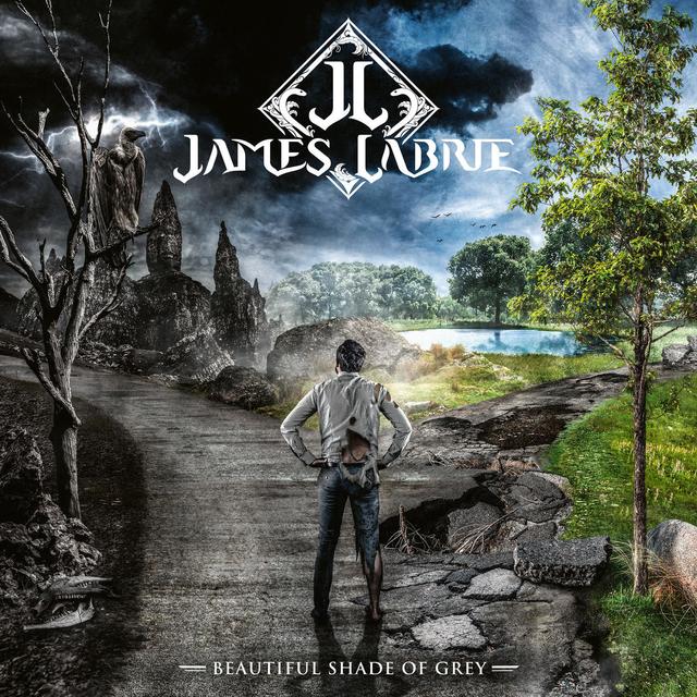 Album cover art for Beautiful Shade Of Grey