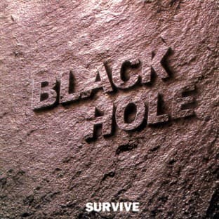 Album cover art for Survive