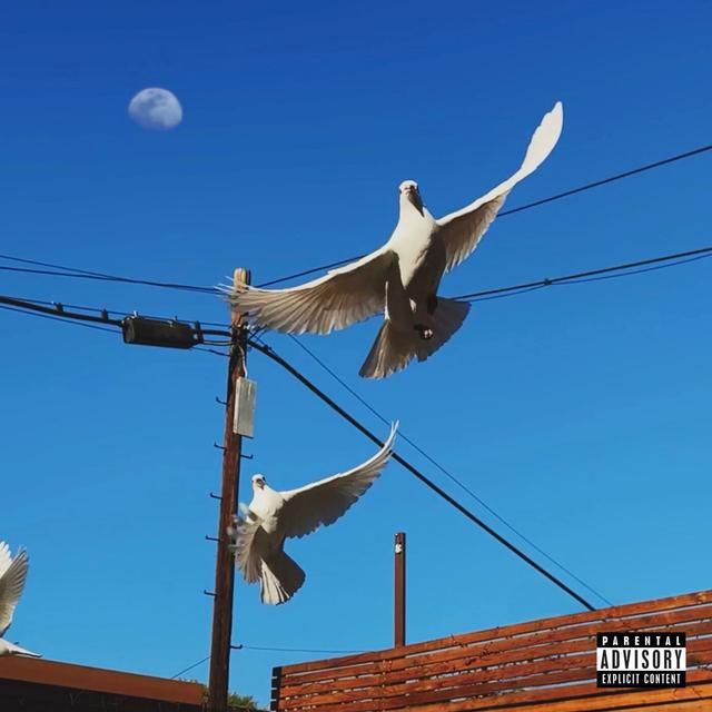 Album cover art for your name forever