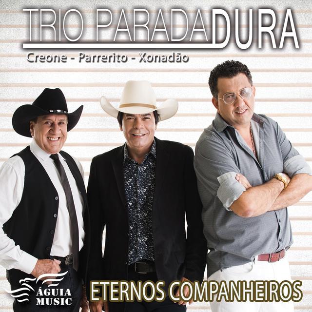 Album cover art for Eternos Companheiros