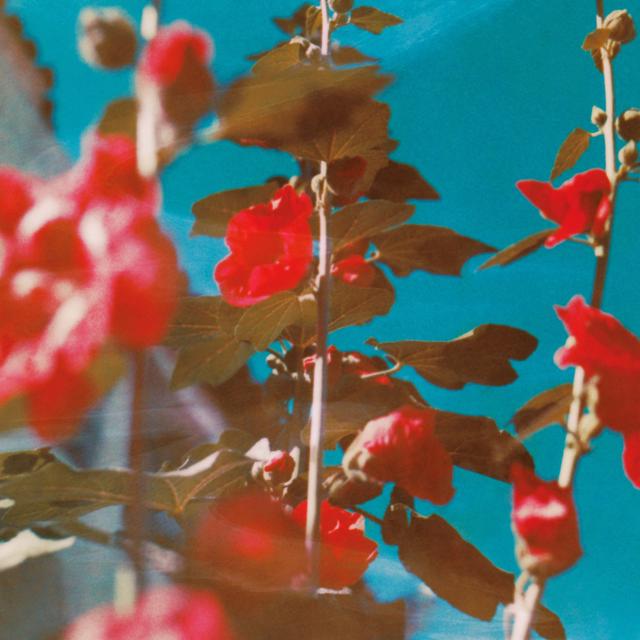 Album cover art for Breathe