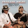 Into the Night