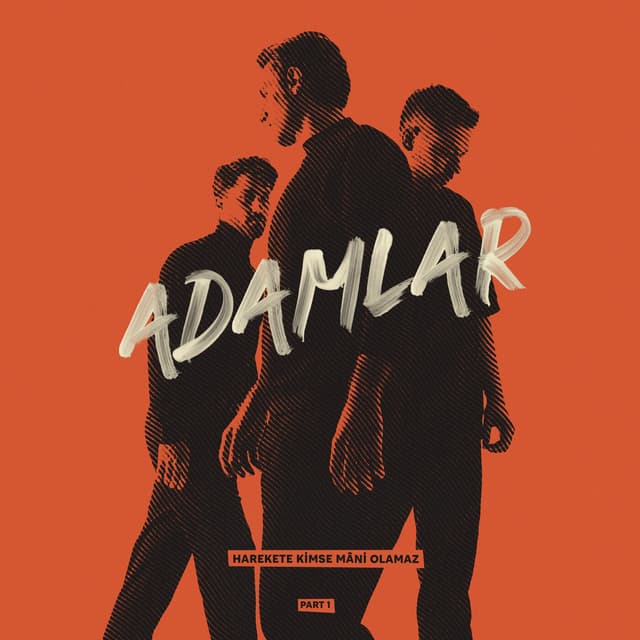 Album cover art for Harekete kimse mâni olamaz.