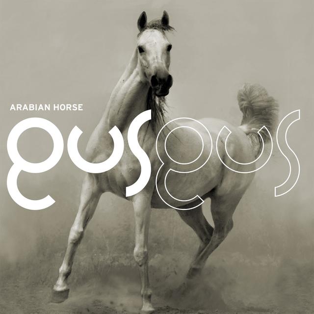 Album cover art for Arabian Horse