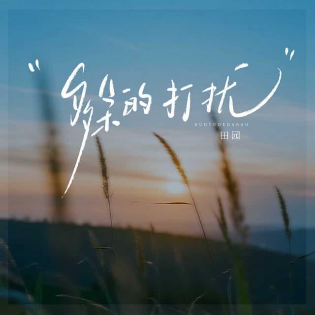 Album cover art for 多余的打扰