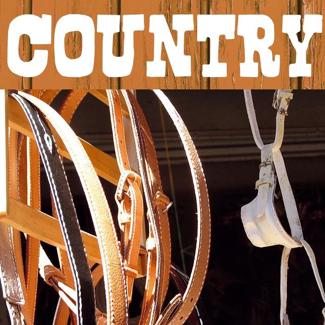 Album cover art for Country