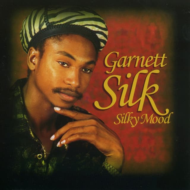 Album cover art for Silky Mood