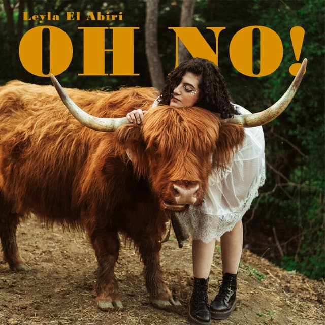 Album cover art for OH NO!