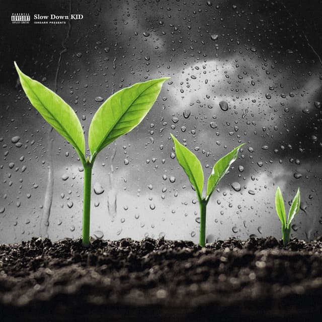 Album cover art for Slow Down, KID