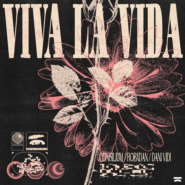 Album cover art for Viva La Vida