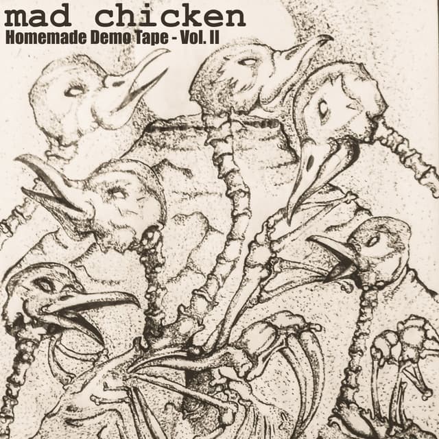 Album cover art for Homemade Demo Tape - Vol. II