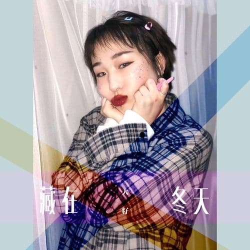 Album cover art for 藏在冬天
