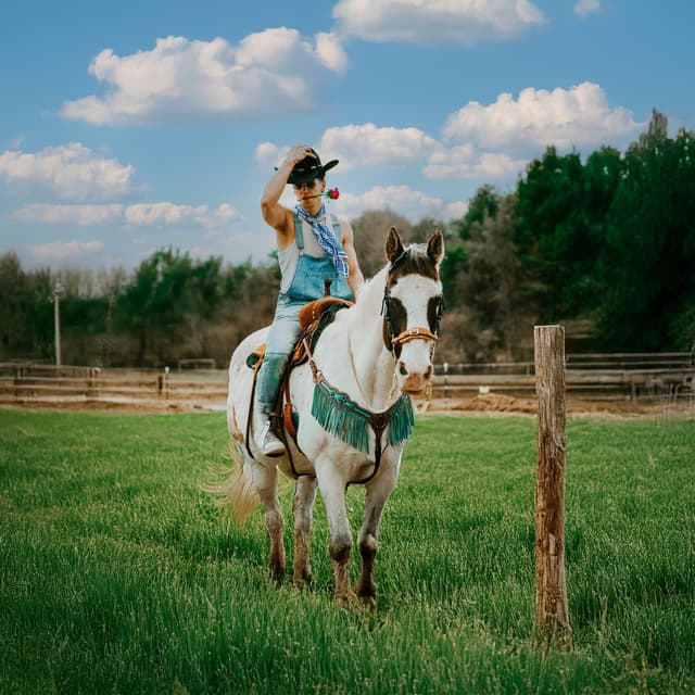 Album cover art for RODEO