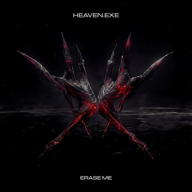 Album cover art for Erase Me