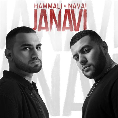 Album cover art for JANAVI