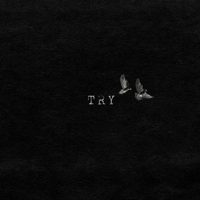 Album cover art for Try