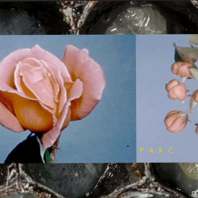 Album cover art for Parc