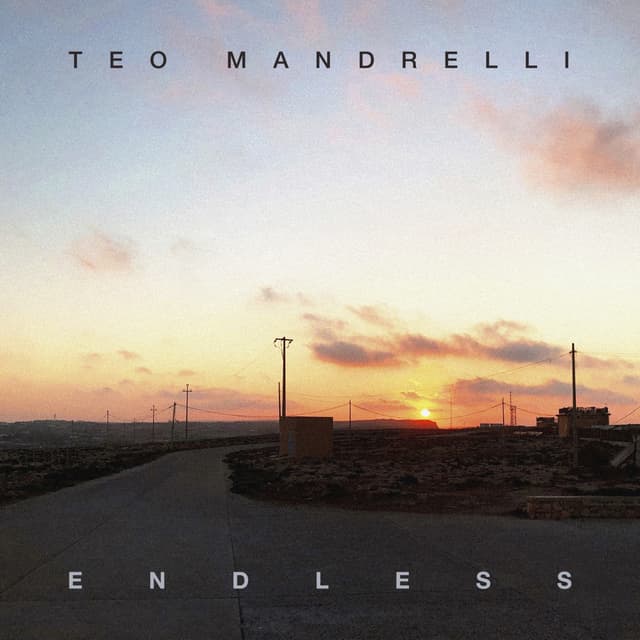 Album cover art for Endless