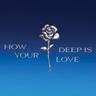 How Deep Is Your Love