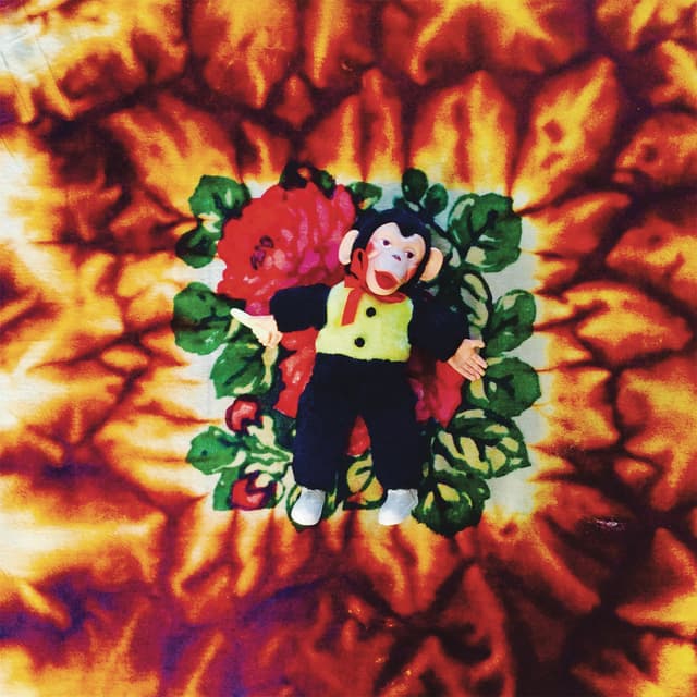 Album cover art for Fireplace: TheNotTheOtherSide