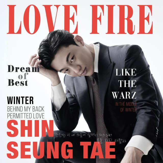 Album cover art for Love Fire