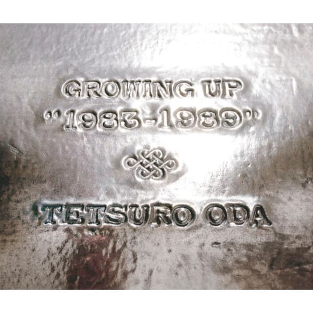 Album cover art for GROWING UP 1983 - 1989
