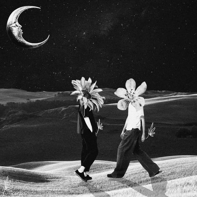 Album cover art for A Fated Crossing