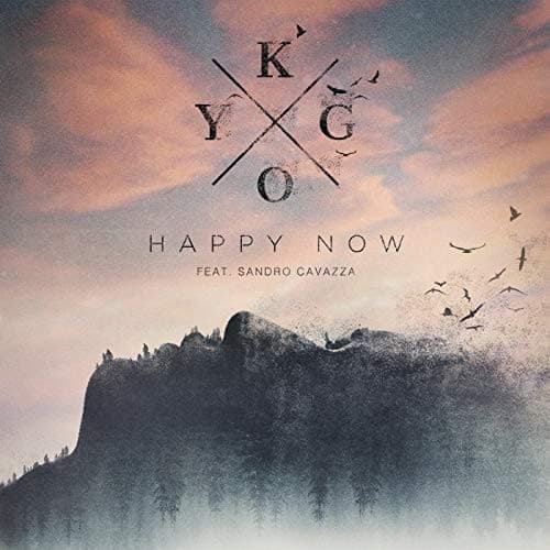 Album cover art for Happy Now