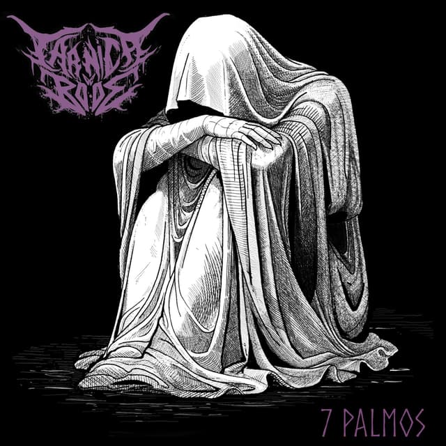 Album cover art for 7 Palmos