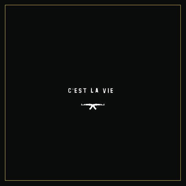 Album cover art for C'est la vie