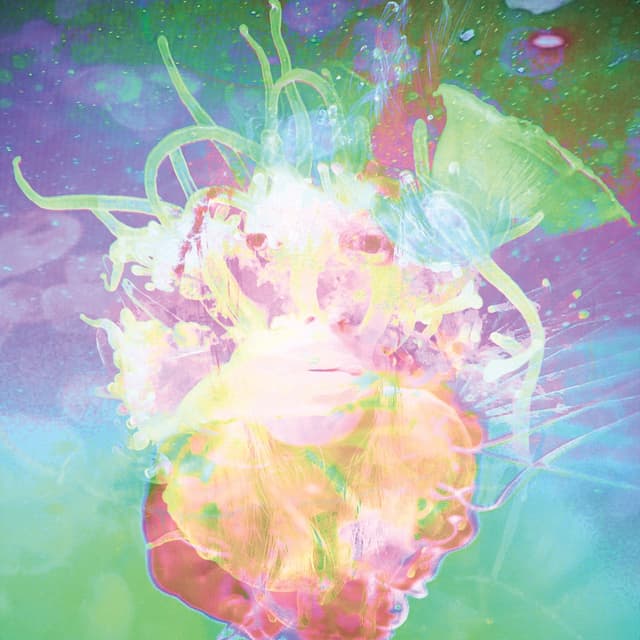 Album cover art for solipsisters