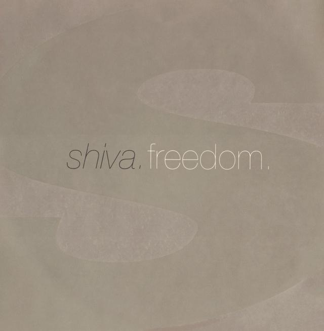 Album cover art for Freedom