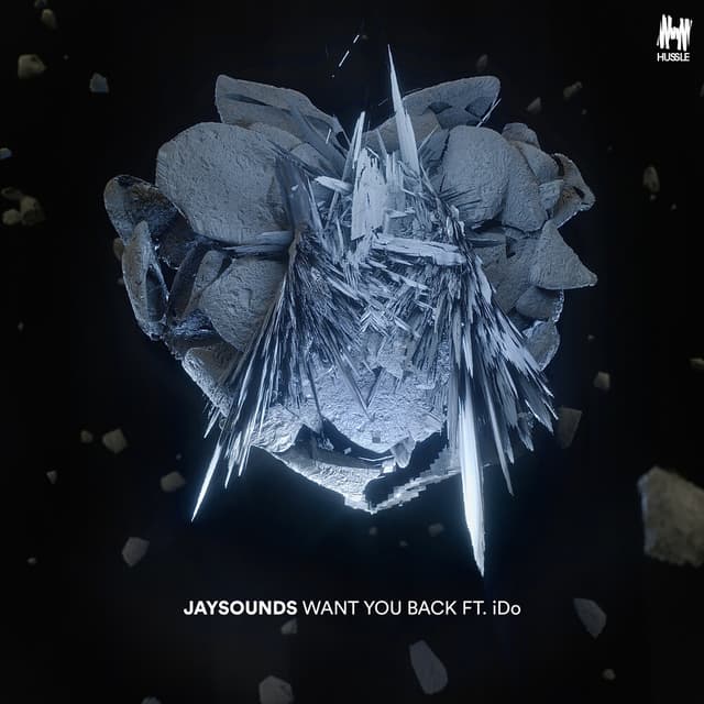 Album cover art for Want You Back