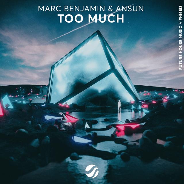 Album cover art for Too Much - Single