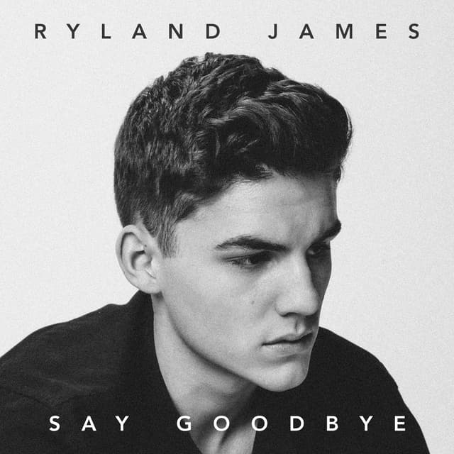 Album cover art for Say Goodbye
