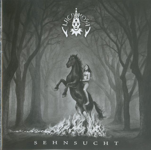 Album cover art for Sehnsucht