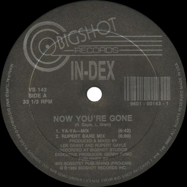 Album cover art for Now You're Gone