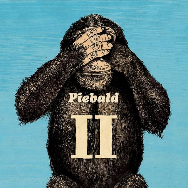 Album cover art for Volume II