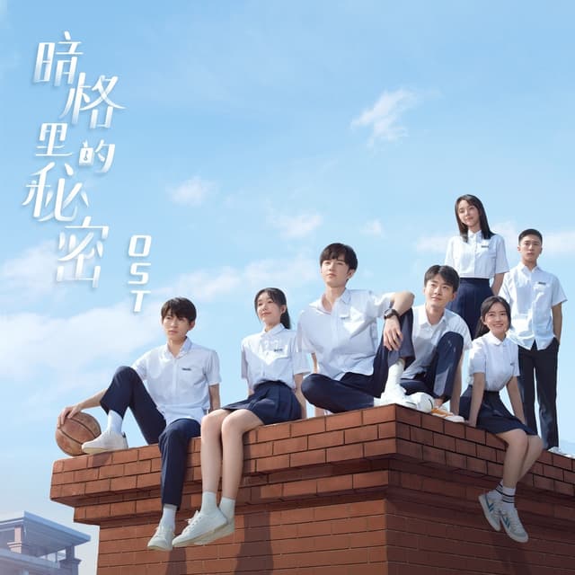 Album cover art for 电视剧《暗格里的秘密》原声带