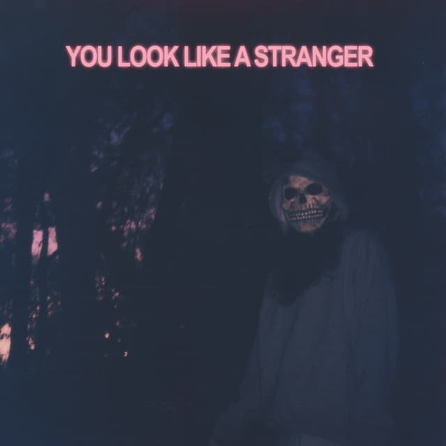 Album cover art for You Look Like a Stranger