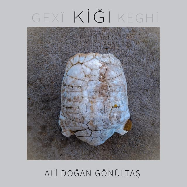 Album cover art for Kiğı