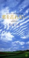 君を忘れない (Kimi Wo Wasurenai)