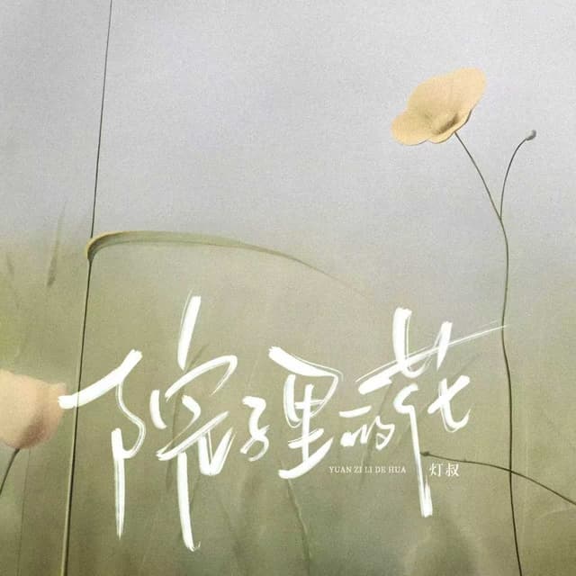 Album cover art for 院子里的花