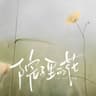 院子里的花